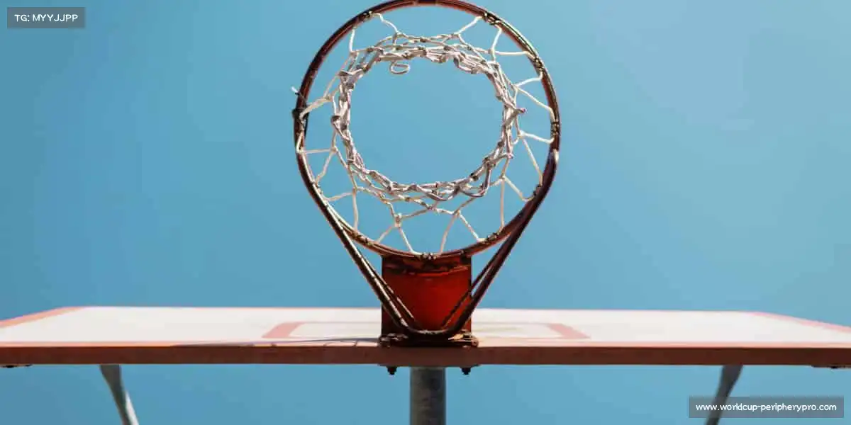 行业领先的理由